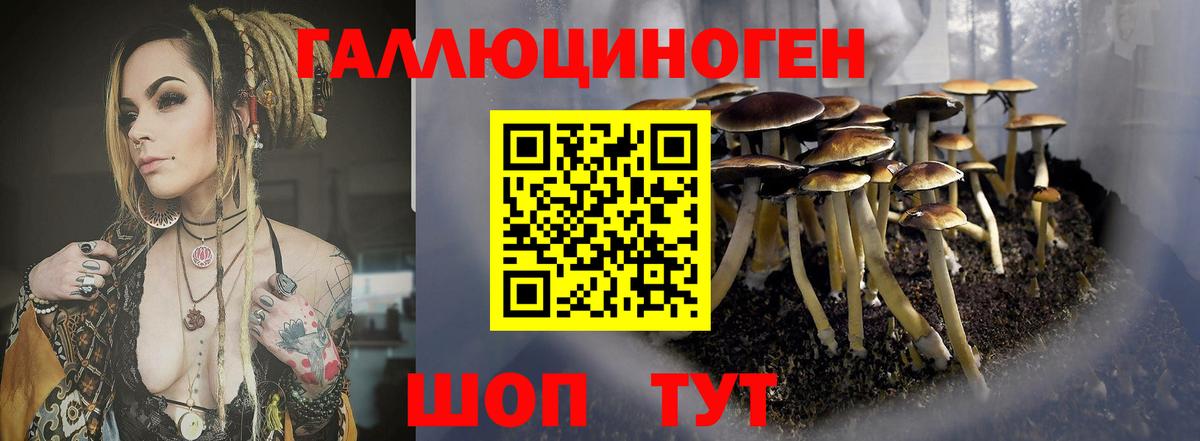 Меф мяу мяу Горячий Ключ